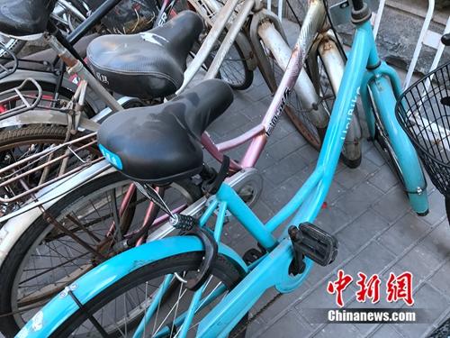 共享單車車座上落滿灰塵。<a target='_blank' href='http://www.chinanews.com/' >中新網(wǎng)</a> 吳濤 攝