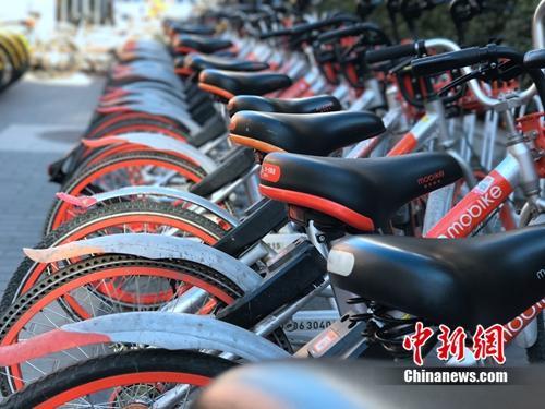 清一色的摩拜單車整齊擺放。<a target='_blank' href='http://www.chinanews.com/' >中新網(wǎng)</a> 吳濤 攝